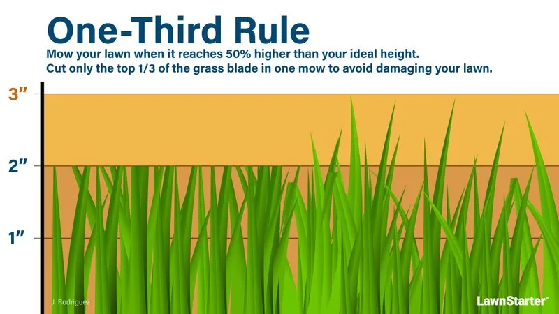 one-third rule