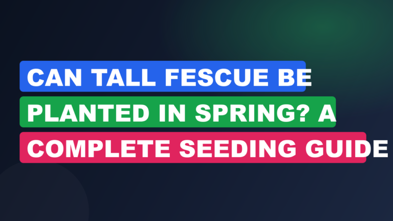 Can Tall Fescue Be Planted in Spring? A Complete Seeding Guide