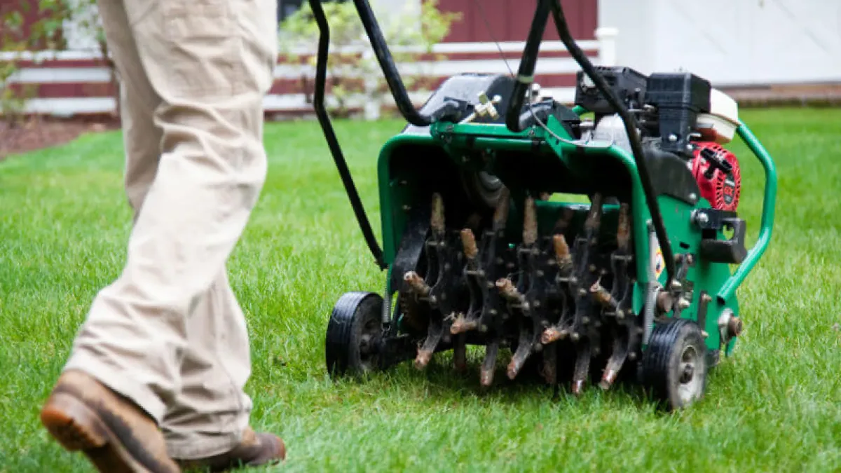 core aeration for overseeding