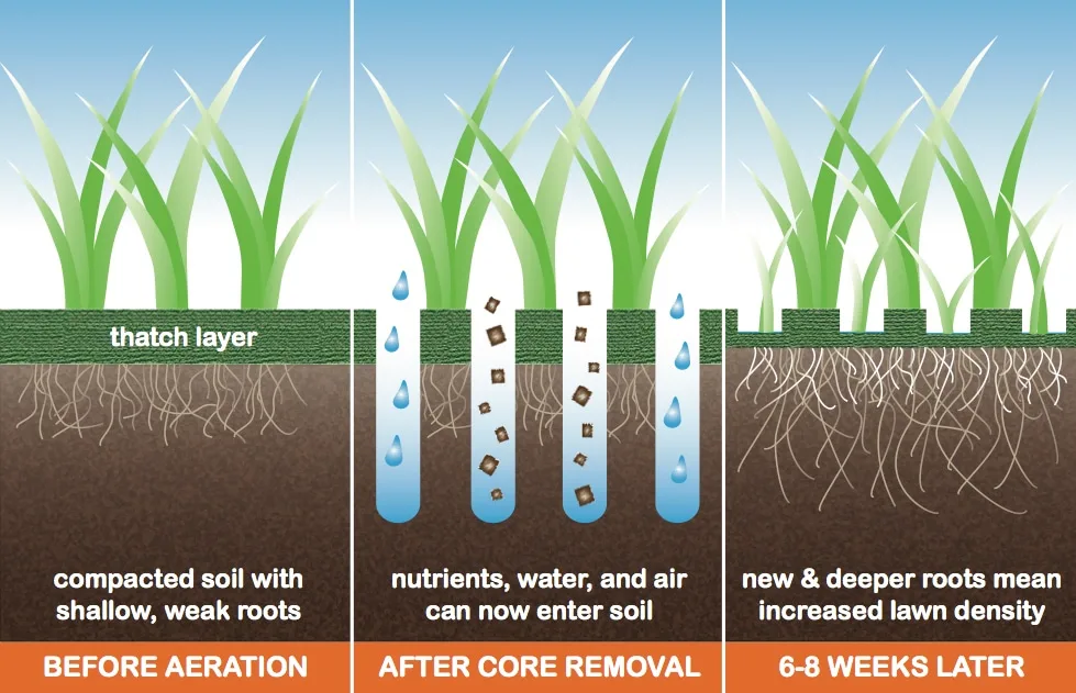 core aeration
