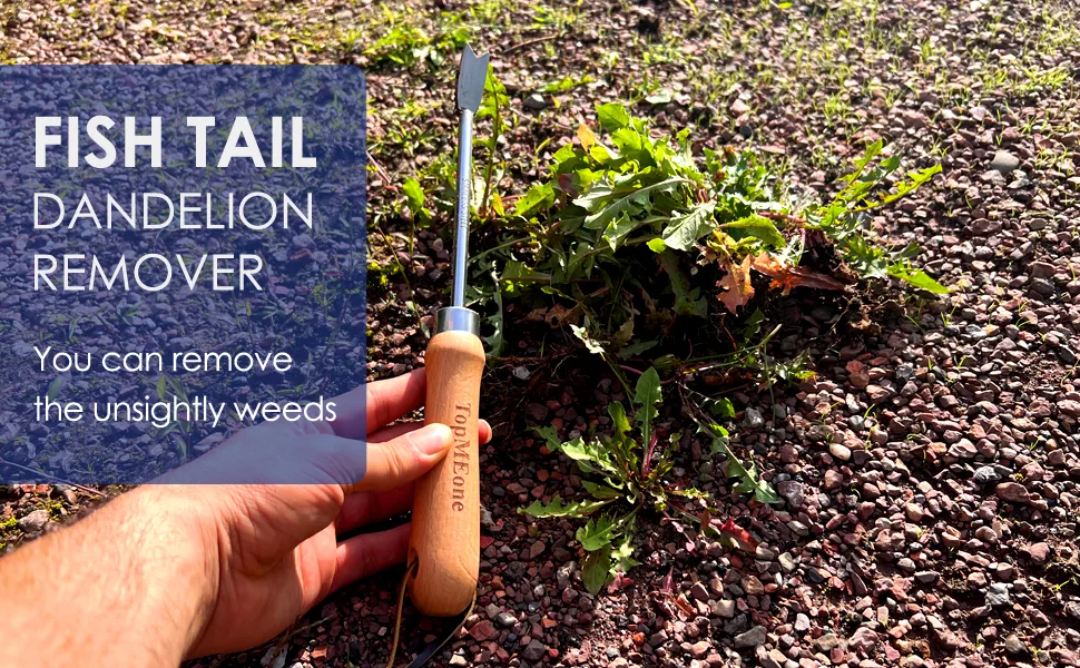 hand weeding tools