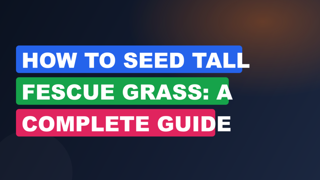 How to Seed Tall Fescue Grass: A Complete Guide