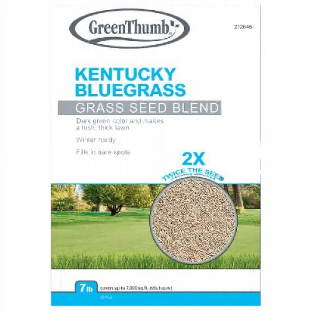 Kentucky bluegrass cultivars