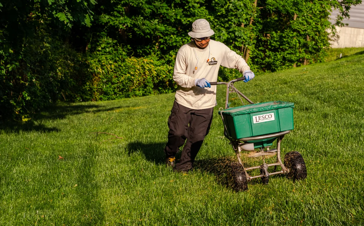lawn fungicide application