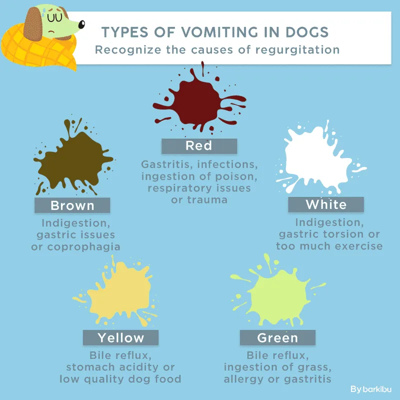 mushroom poisoning symptoms timeline dog