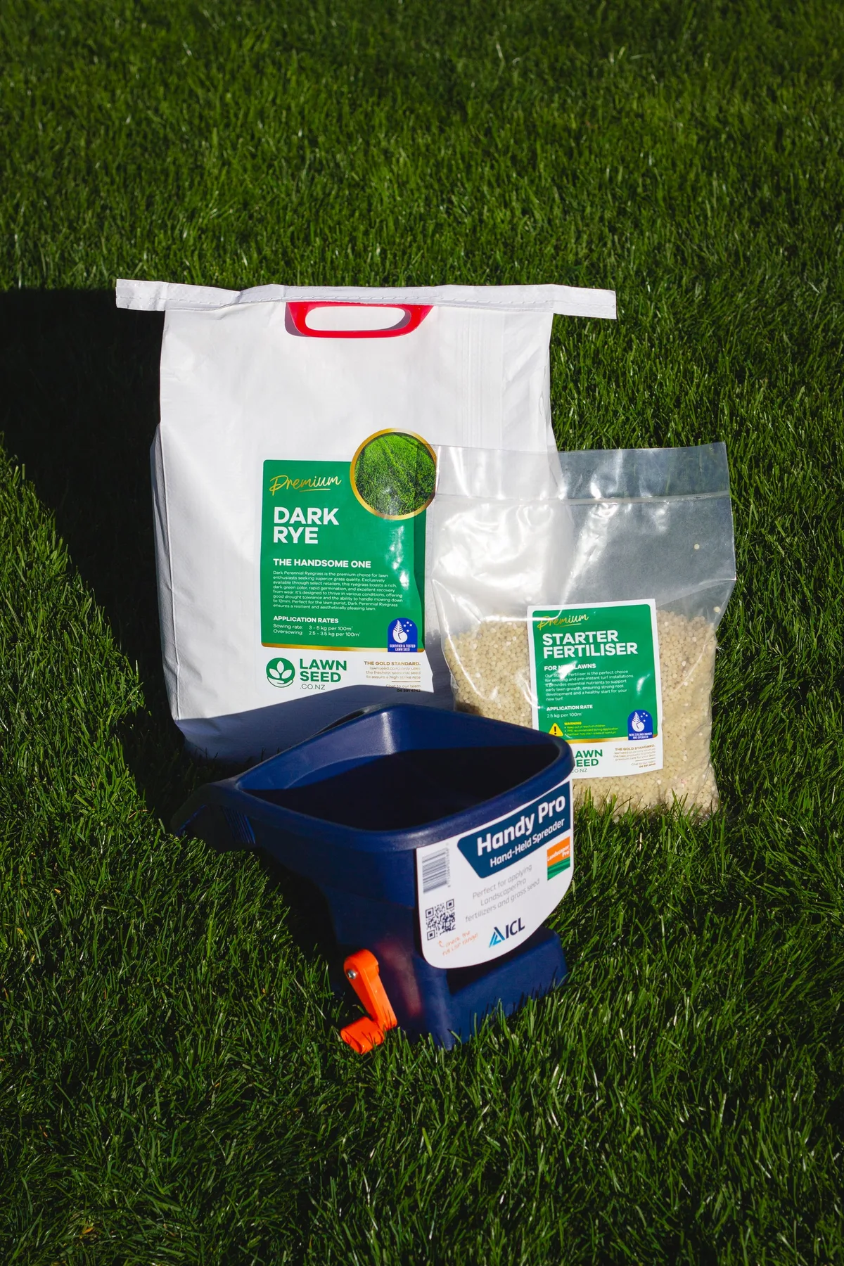 perennial ryegrass overseeding