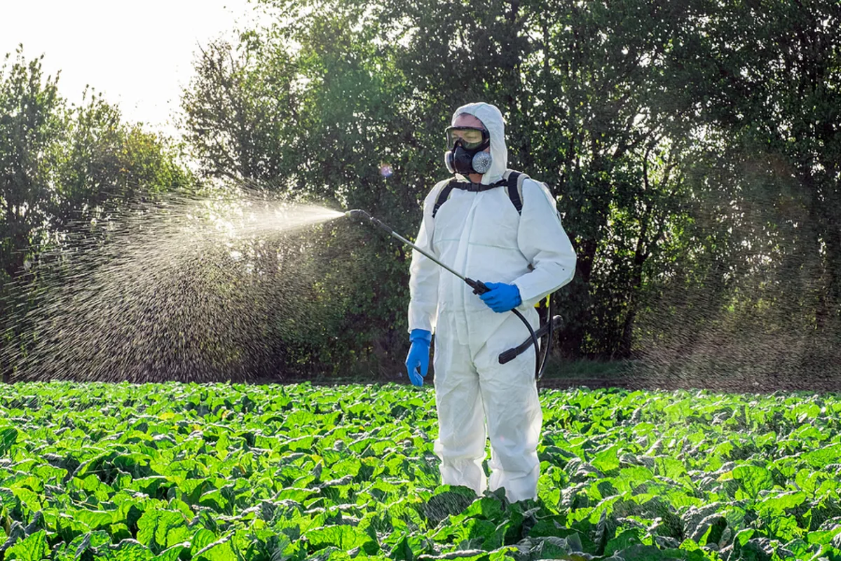 restricted use pesticide PPE
