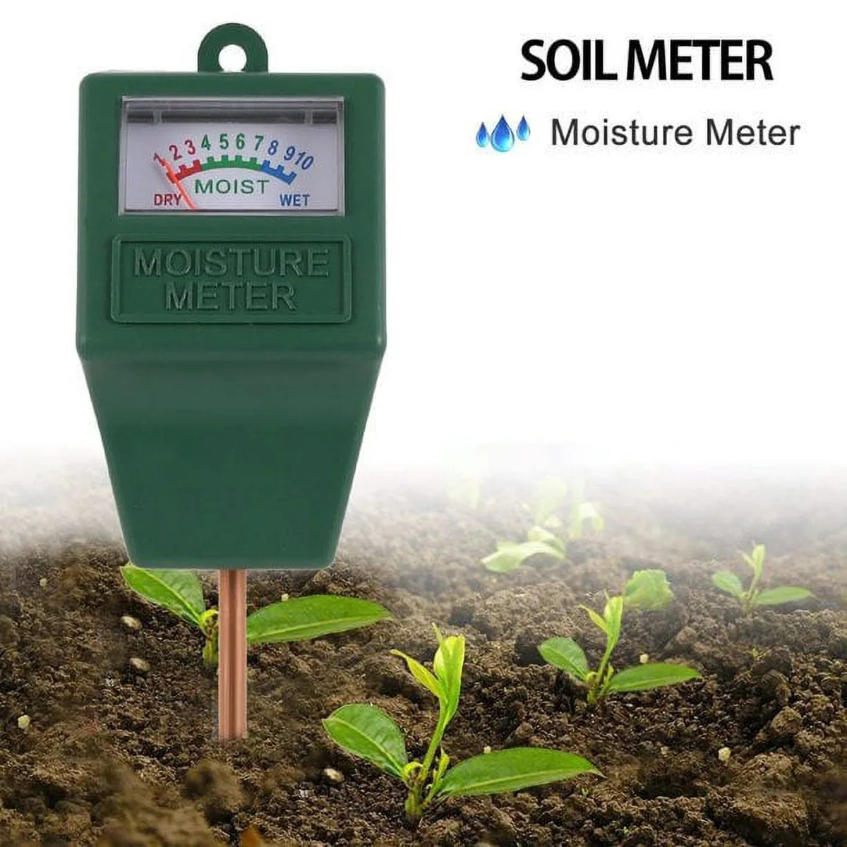 soil moisture test