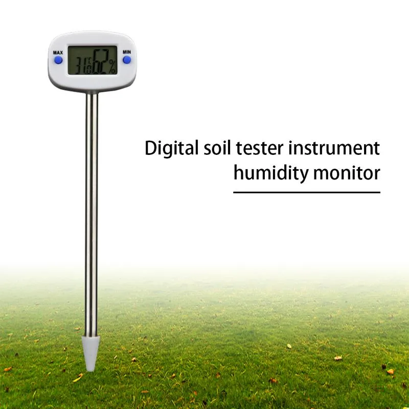 soil temperature for seeding tall fescue