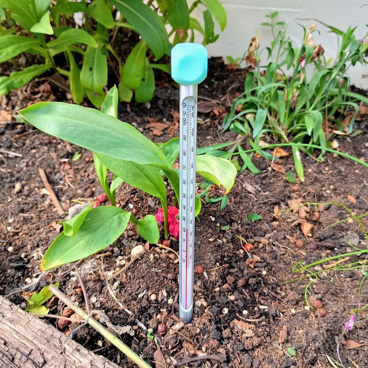 soil temperature