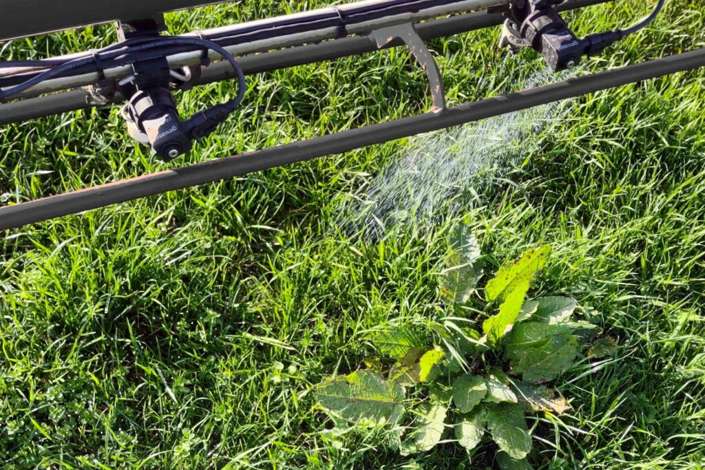 spot spraying bahia grass