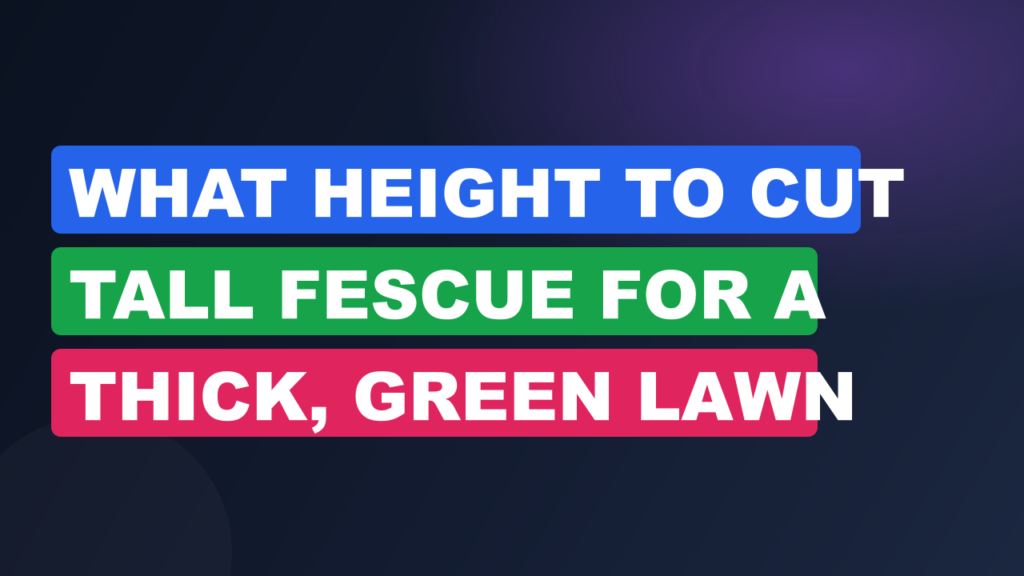 What Height to Cut Tall Fescue for a Thick, Green Lawn What Height to Cut Tall Fescue for a Thick, Green Lawn