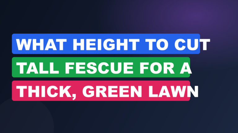 What Height to Cut Tall Fescue for a Thick, Green Lawn What Height to Cut Tall Fescue for a Thick, Green Lawn