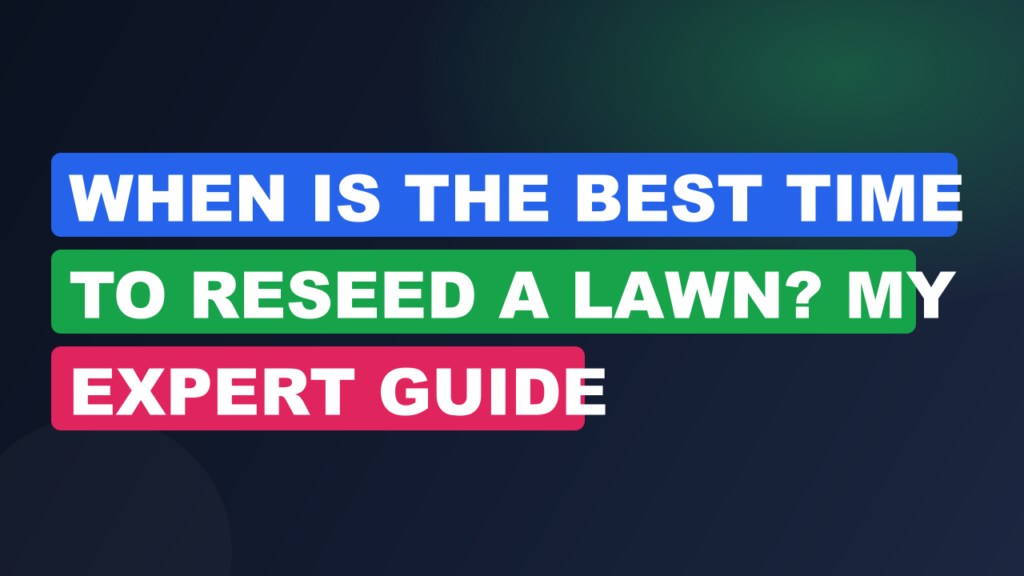 When Is the Best Time to Reseed a Lawn? My Expert Guide