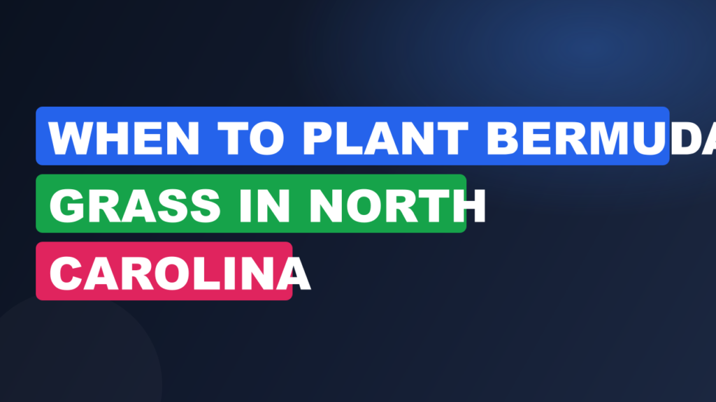 When to Plant Bermuda Grass in North Carolina