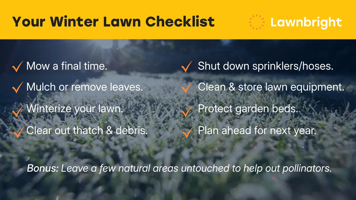 winter lawn green decision tree