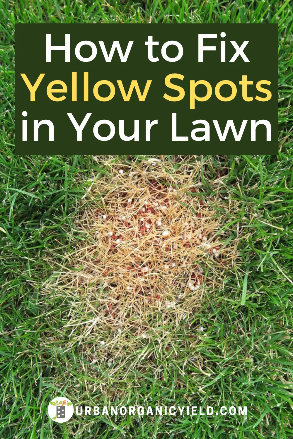 Bermuda lawn turning yellow