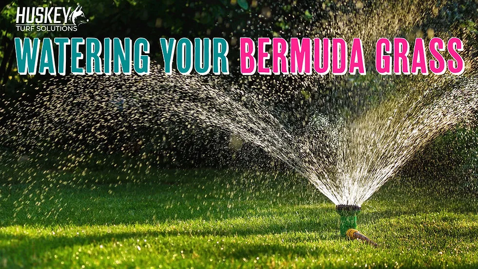 Deep watering technique
