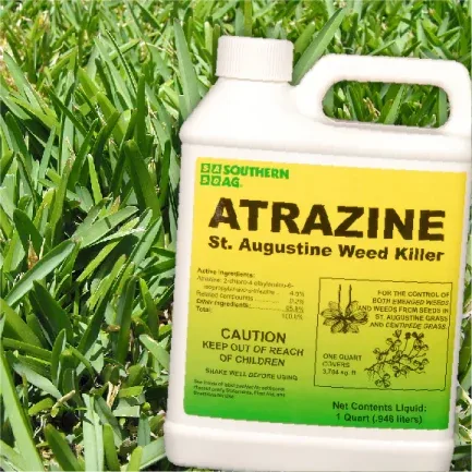 does atrazine kill bermuda grass