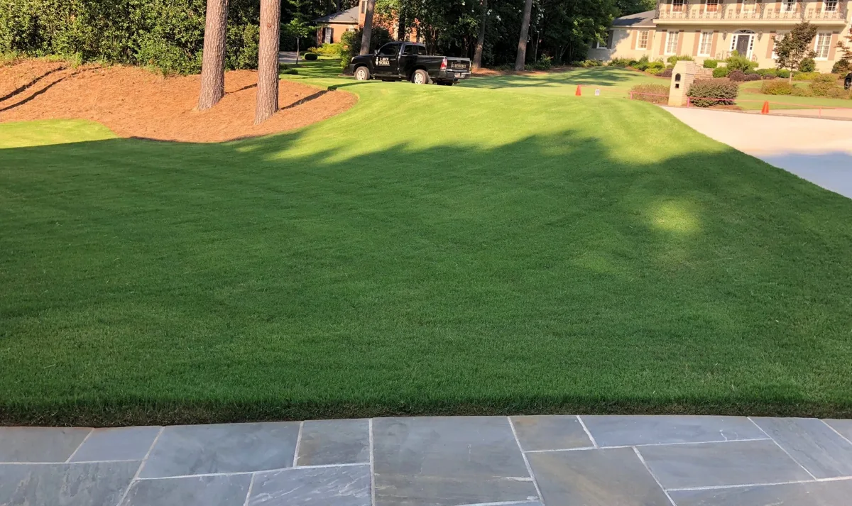 how to get bermuda grass green