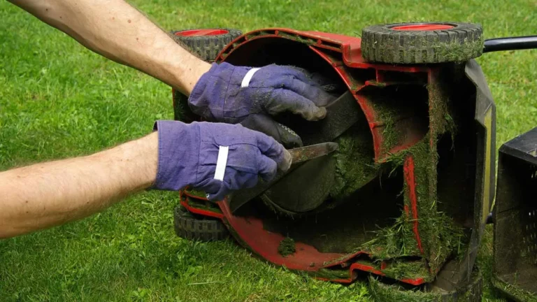 how to winterize lawn mower