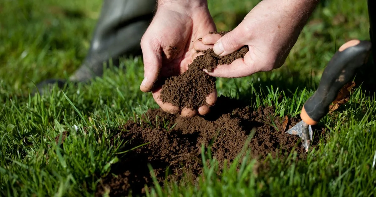 Lawn soil test kit