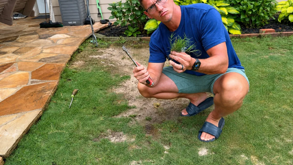 sprig planting mistake