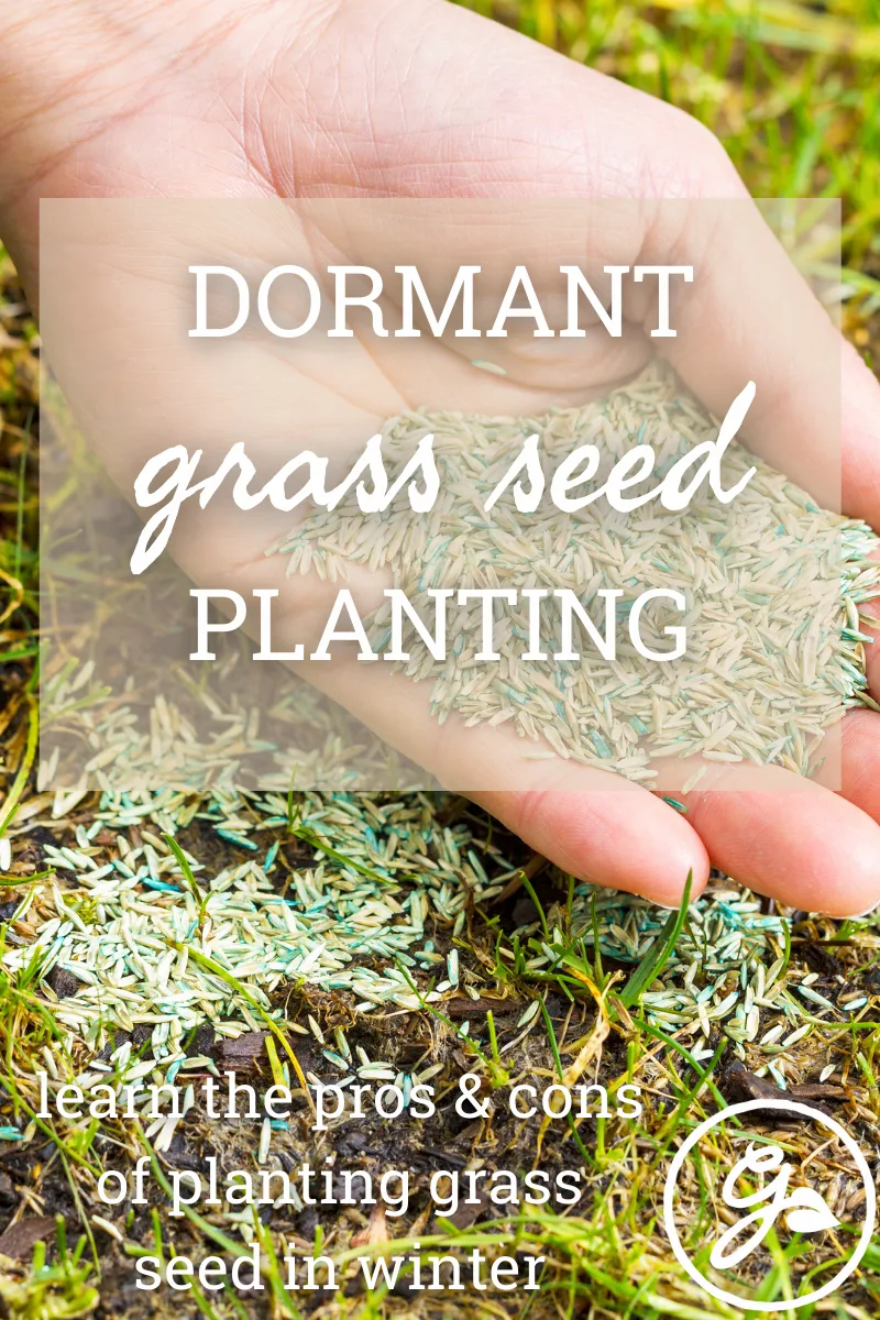Cool-season grass planting calendar