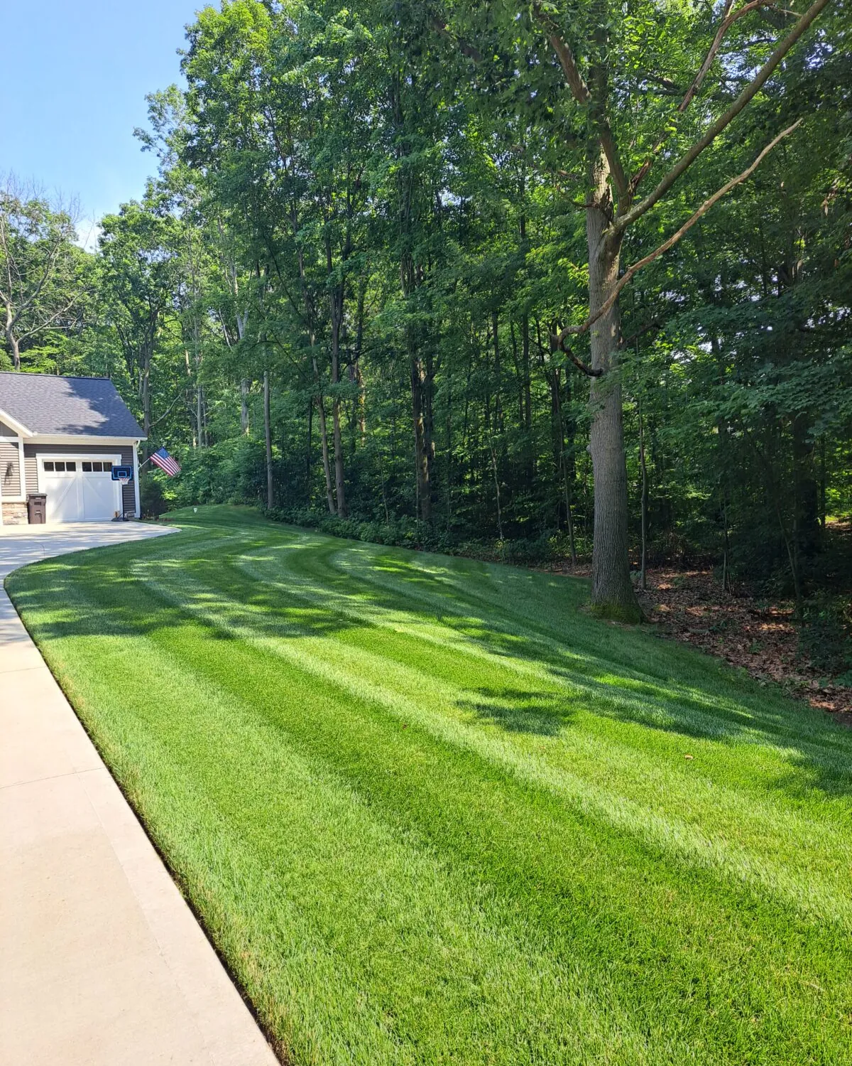 A lawn mower set to a high height on a thick Kentucky bluegrass lawn.