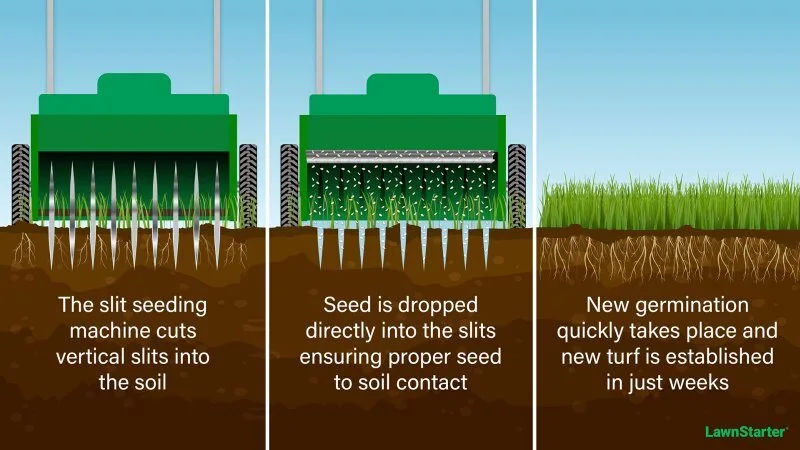slice seeder