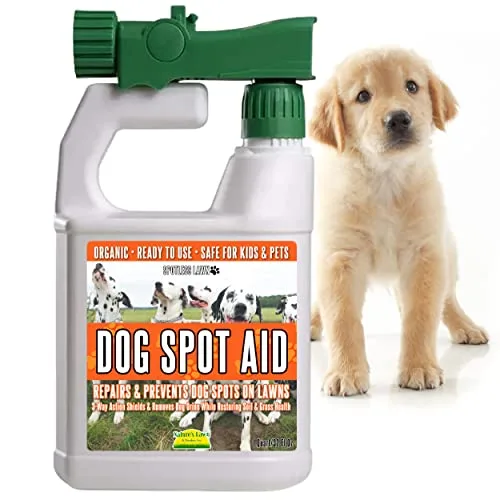 watering dog urine spot